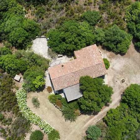 Villa Calisto -