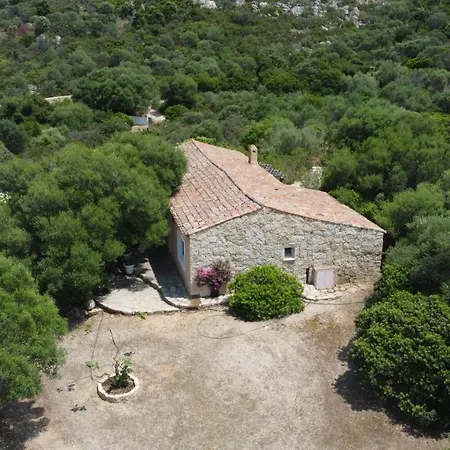 Calisto -