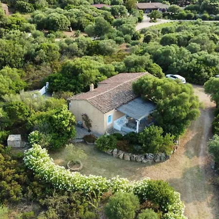 Villa Calisto - *